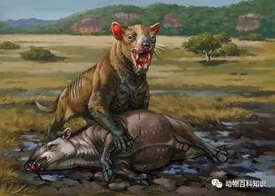 剑虎的图片,探寻神秘生物的传奇故事